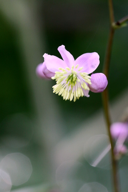 f0207313_2211245.jpg