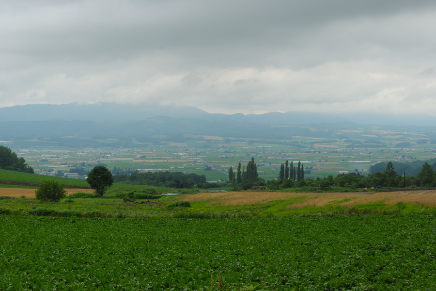 b0146024_22372365.jpg