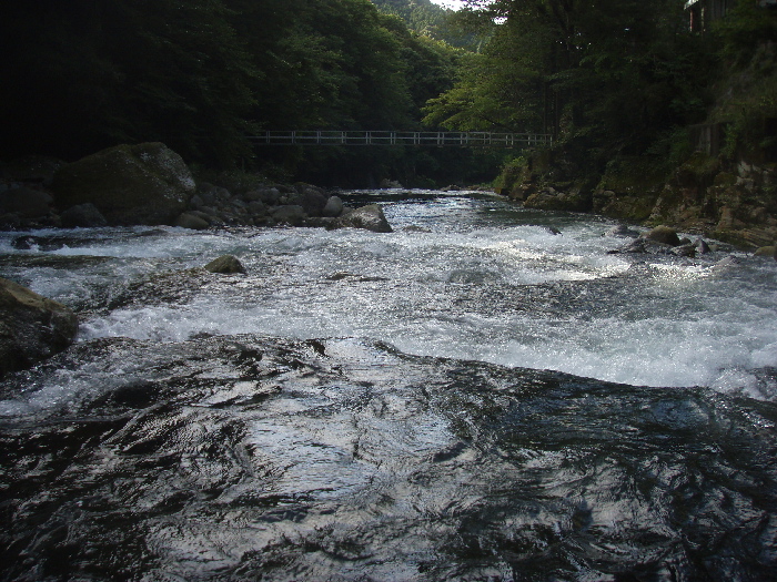 f0103126_19491617.jpg