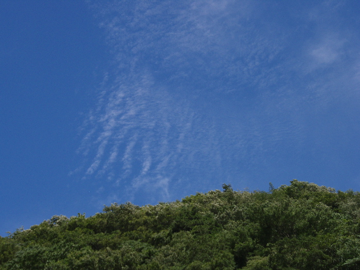 f0103126_19503630.jpg