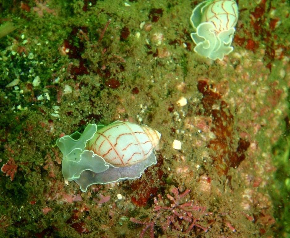 c0034029_6174162.jpg