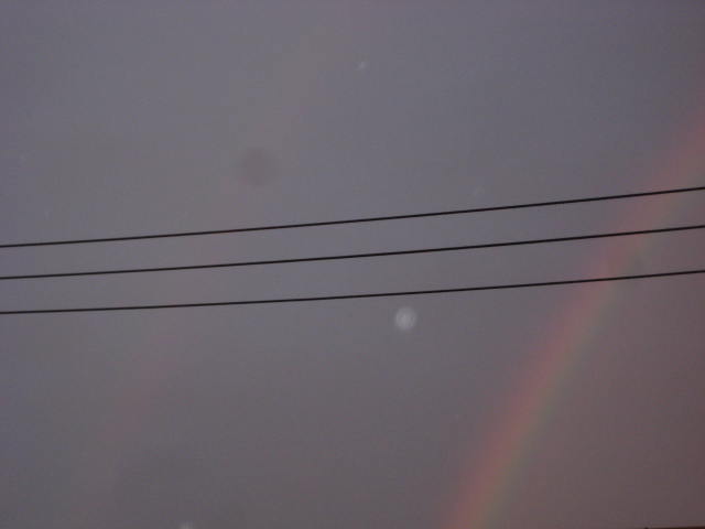 e0166032_2084734.jpg