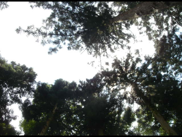 e0144834_16393434.jpg