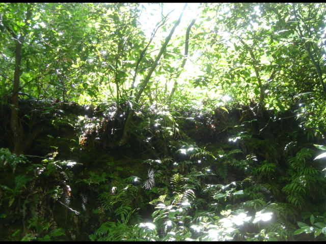 e0144834_1640233.jpg