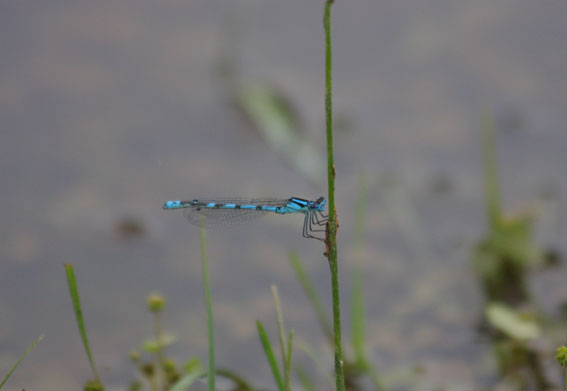 d0069235_21244156.jpg