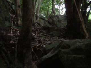 c0077338_15132222.jpg