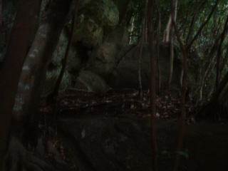 c0077338_15134252.jpg