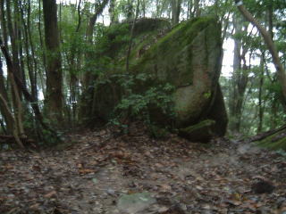 c0077338_15135934.jpg