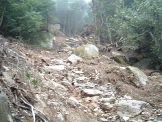 c0077338_15164451.jpg