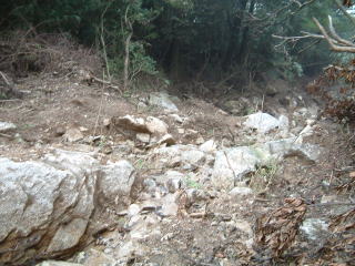 c0077338_1517329.jpg