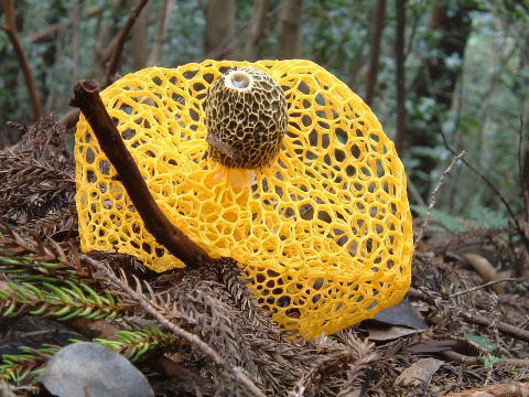 c0077338_15185026.jpg