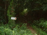 c0077338_1522250.jpg