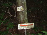 c0077338_1522952.jpg