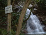 c0077338_1523882.jpg