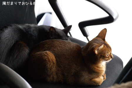 c0132438_22163579.jpg