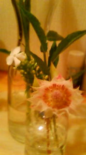c0150440_2037535.jpg