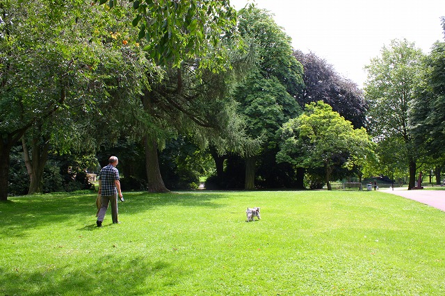 c0153740_332921.jpg