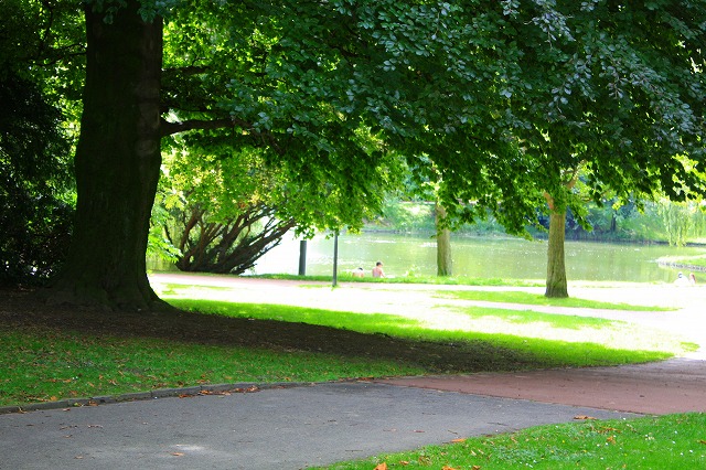 c0153740_355410.jpg