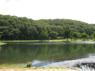 f0065341_7124649.jpg