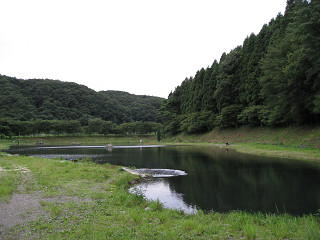 f0065341_715142.jpg