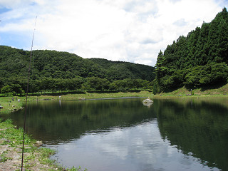 f0065341_751957.jpg