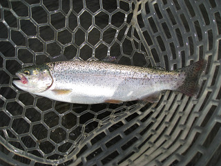 f0065341_763023.jpg