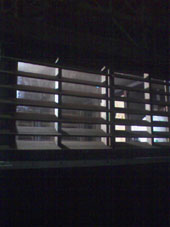 a0137142_232553.jpg