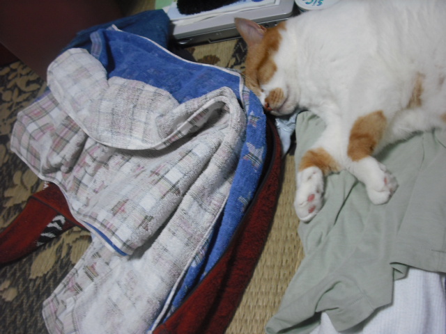 c0194042_2175378.jpg