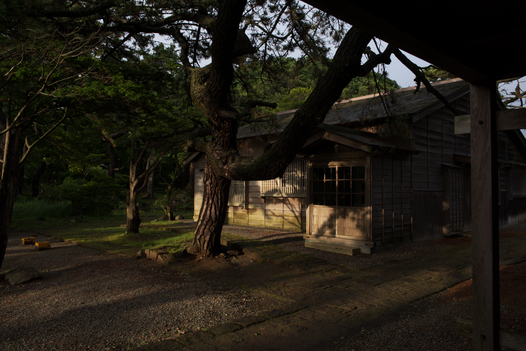 d0001745_12925.jpg
