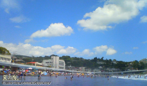 c0067646_973910.jpg