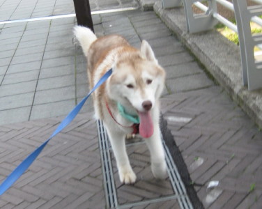 e0121548_2033597.jpg