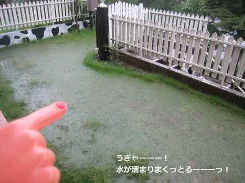 a0090451_0172267.jpg