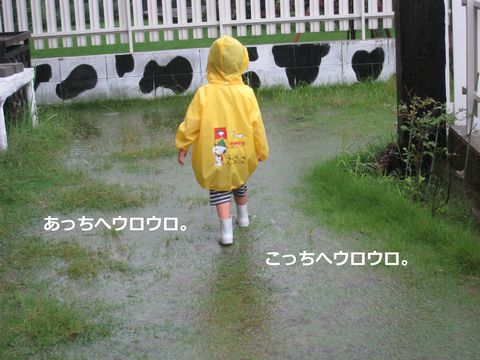 a0090451_018646.jpg