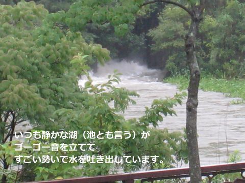 a0090451_0255896.jpg