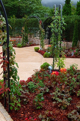 e0025655_5565762.jpg
