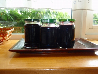 e0004756_20511768.jpg