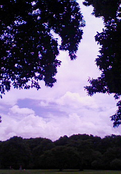 f0057456_1781954.jpg