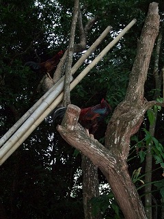 f0176156_13202135.jpg