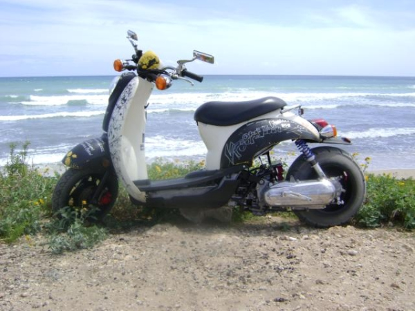 a0114563_262560.jpg