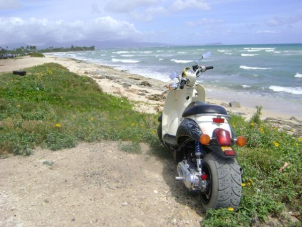 a0114563_265379.jpg