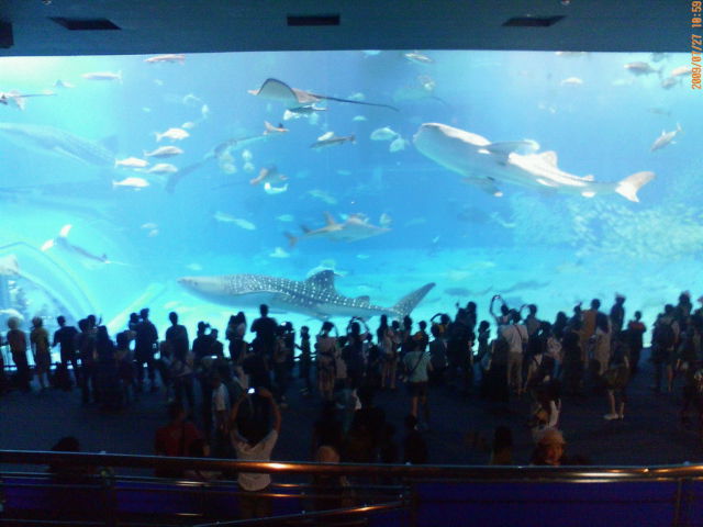 c0062763_1329521.jpg