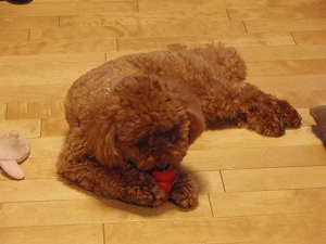 c0135363_2216129.jpg