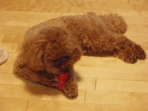 c0135363_22161712.jpg