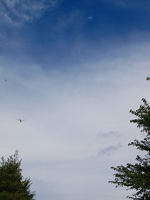 b0180764_2356535.jpg
