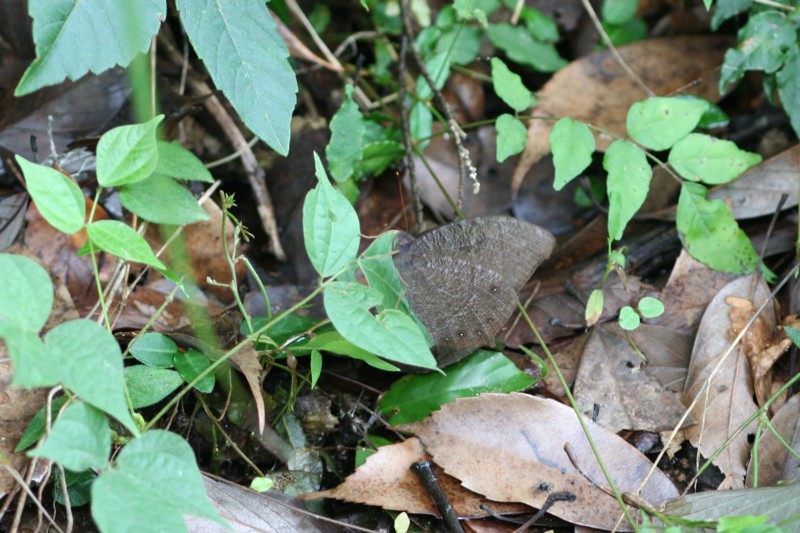 b0088772_2153369.jpg