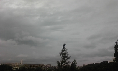 c0061774_1544105.jpg