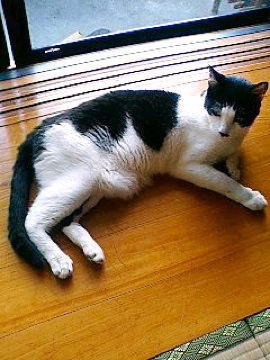 f0054677_824660.jpg
