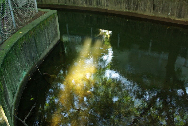 b0120979_21133482.jpg