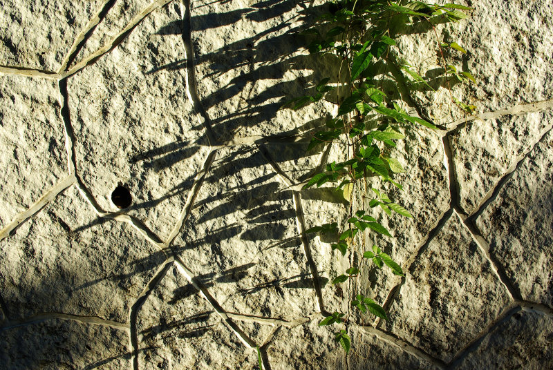 b0120979_2114730.jpg
