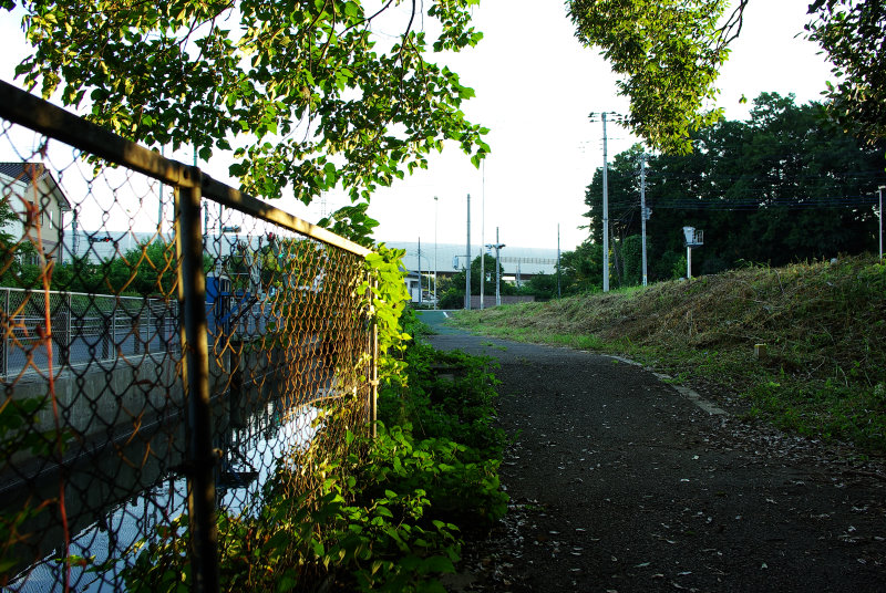 b0120979_21161344.jpg